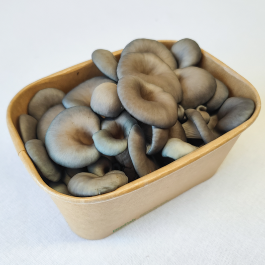 Blue Oyster Mushrooms – 150g Punnet