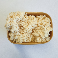 Coral Tooth Mushrooms – 150g Punnet