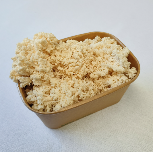 Coral Tooth Mushrooms – 150g Punnet