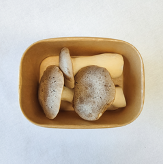 King Oyster Mushrooms (Larger Size) – 150g Punnet