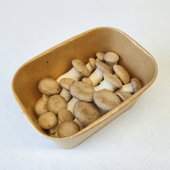 King Oyster Mushrooms (Smaller) – 150g Punnet