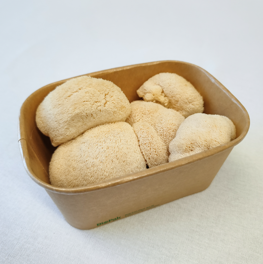 Lion’s Mane Mushrooms – 150g Punnet
