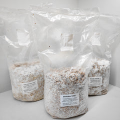 Shiitake Mushroom Spawn – 3782