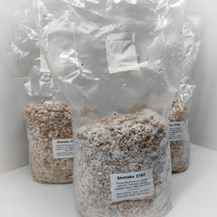 Shiitake Mushroom Spawn – 3782