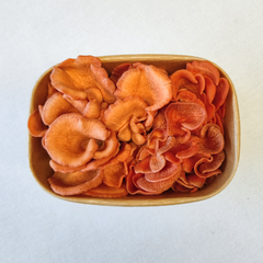 Pink Oyster Mushrooms – 150g Punnet