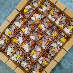 Premium Mixed Mushroom Box 1Kg