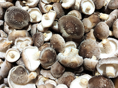 Shiitake Mushrooms – 150g Punnet