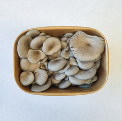 Shimeji Mushrooms – 150g Punnet