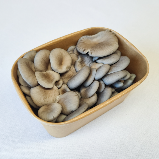 Shimeji Mushrooms – 150g Punnet