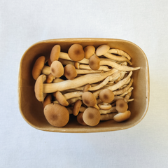 Pioppino Mushrooms – 150g Punnet