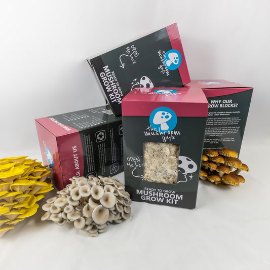 Farm at Home – 4 Grow Block Special *Save $30*