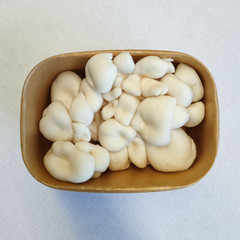 White Oyster Mushrooms – 150g Punnet