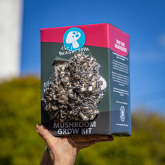 Blue Oyster Mushroom Grow Kit