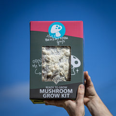 Lion's Mane Mushroom Grow Kit