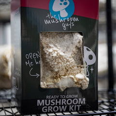 White Oyster Mushroom Grow Kit