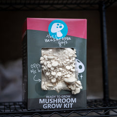White Oyster Mushroom Grow Kit
