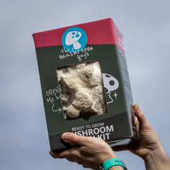 Farm at Home – 4 Grow Block Special *Save $30*