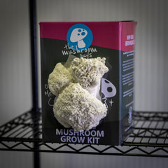 Farm at Home – 4 Grow Block Special *Save $30*