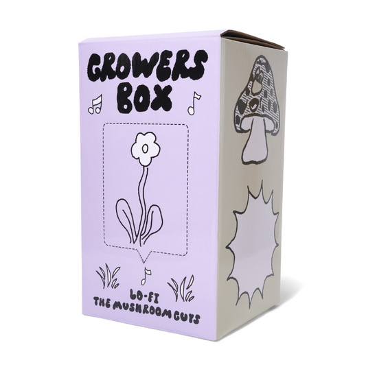 Pink Oyster Grow Kit – Lo-Fi Colab
