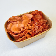 Pink Oyster Mushrooms – 200g Punnet