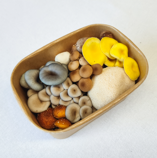 Premium Mixed Mushrooms – 200g Punnet
