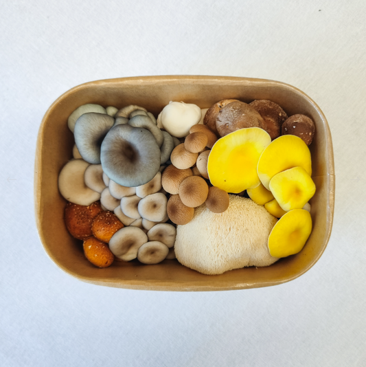 Premium Mixed Mushrooms – 200g Punnet