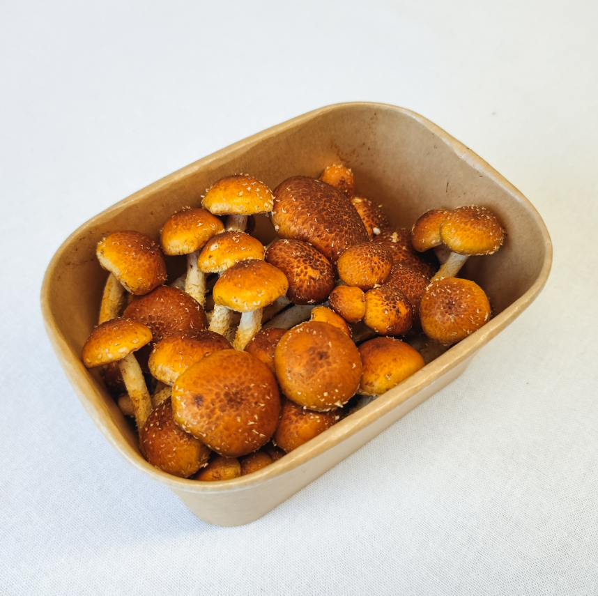 Scaly Flame Cap Mushrooms – 200g Punnet