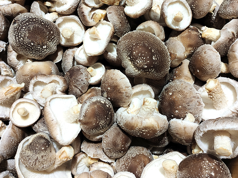 Shiitake Mushrooms – 1kg