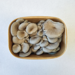 Shimeji Mushrooms – 200g Punnet